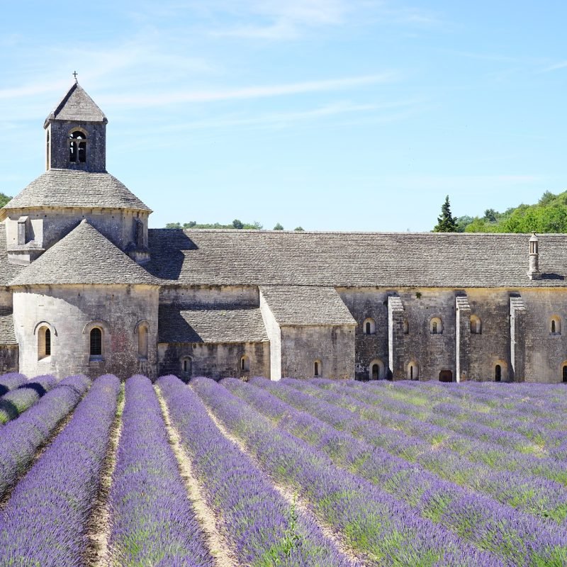 abbaye-de-senanque-1595627_1920